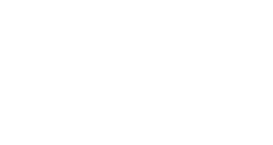 Blue Streak Logo